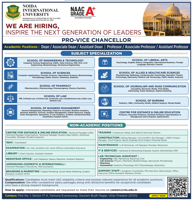Professor and Staff Vacancies at Noida International University Noida 2026